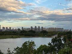 -九龙湖公园