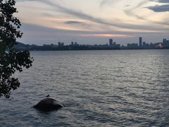 -东湖生态旅游风景区