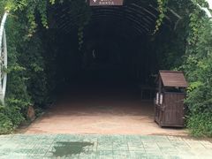 -渔岛海洋度假区