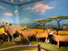 -大连森林动物园