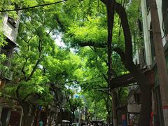 -清真盛志望麻酱酿皮·非遗老字号