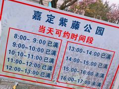 -嘉定紫藤园
