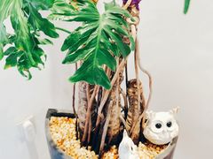 -Willing·Coffee&Brunch&Dinner(万达店)