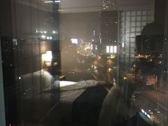 -天津和平智选假日酒店