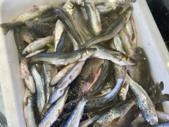 -墩上村(水印康庭店)