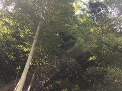 -敬亭山风景名胜区