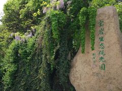 -宝岩生态观光园