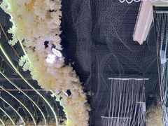 -金筷子·喜事汇