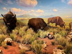 -陕西自然博物馆