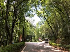 -石燕湖生态旅游景区