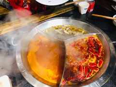奔驰锅-大龙燚火锅(春熙店)