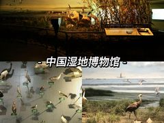 -浙江省博物馆(孤山馆区)