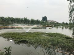 -同銮特种养殖场·龙虾垂钓