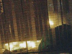-泰·菩提树下[泰式按摩x精油SPAx肩颈头疗](新景店)