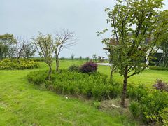 -七的湖·晚芳亭·阳澄湖农家菜·大闸蟹(莲花岛店)