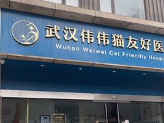 -伟伟宠物医院·瑞派猫友好医院·猫科(光谷店)