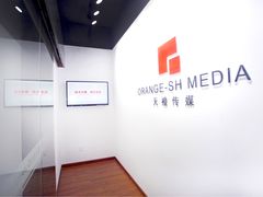 -上海盛视天橙传媒股份有限公司