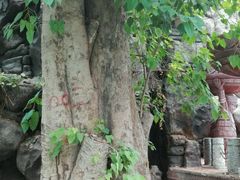 -龙达温泉生态城