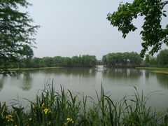 -长兴太湖图影湿地文化园
