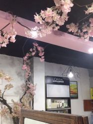 -Ly形象设计