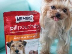 -百好乐宠物友好餐厅(朝外大街店)