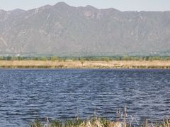 -野鸭湖国家湿地公园