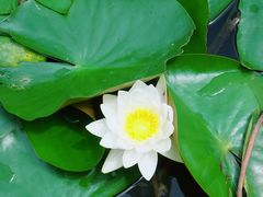 -贵阳蓬莱仙界