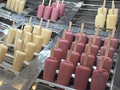 -Patagonia Chocolates(皇后镇店)
