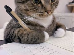 -翊宠yipet猫狗购宠庄园