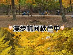 -长白岛森林公园