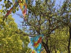 -西峡恐龙遗迹园