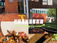 -香港大学