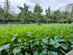 -四川大学(华西校区)