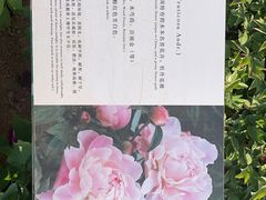 -羊亭河湿地公园