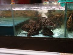 -阿伟海鲜楼·福建菜(延寿店)