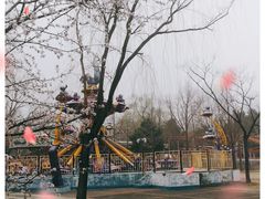-朝阳公园游乐园