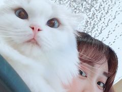 -瞄一喵猫咖(格力海岸店)