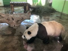 -石家庄市动物园