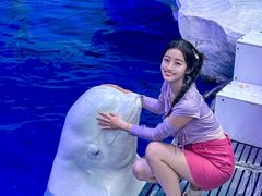 -秦皇岛乐岛海洋王国