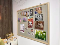 -柯达靓之彩影像网络(明瓦廊店)