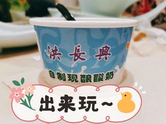 自制酸奶-洪长兴(广西北路店)