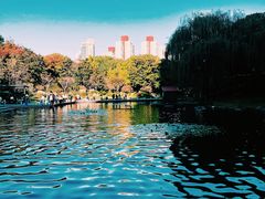 -徐家汇公园