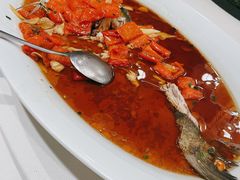 -丹江渔村(望京店)