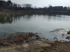 -贡湖湾湿地公园