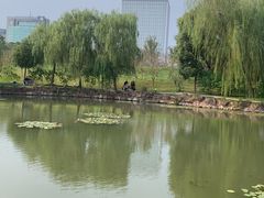 -大宁公园