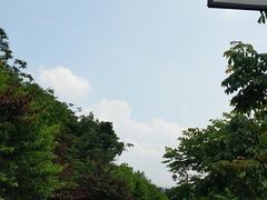 -杭州半山国家森林公园