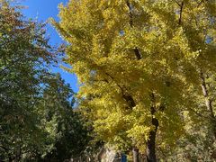 -阳台山自然风景区