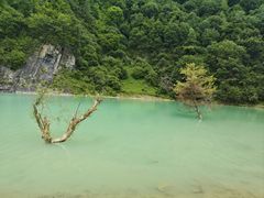 -狮子沟牧场