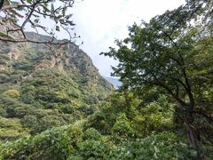 -京东石林峡风景区