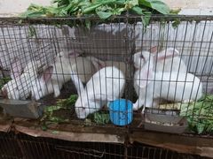 -米二红烧兔(华阳店)